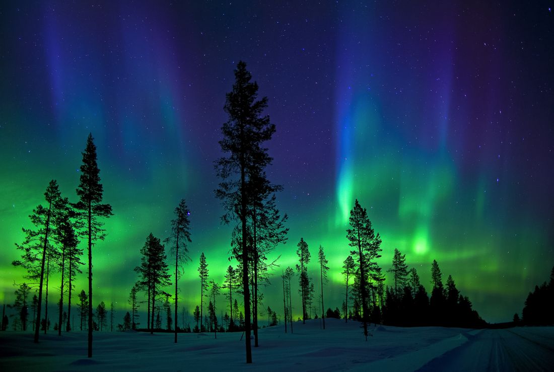 Palads Tilbagetrækning Repaste 5 best places to see the Northern Lights | Updated 2020