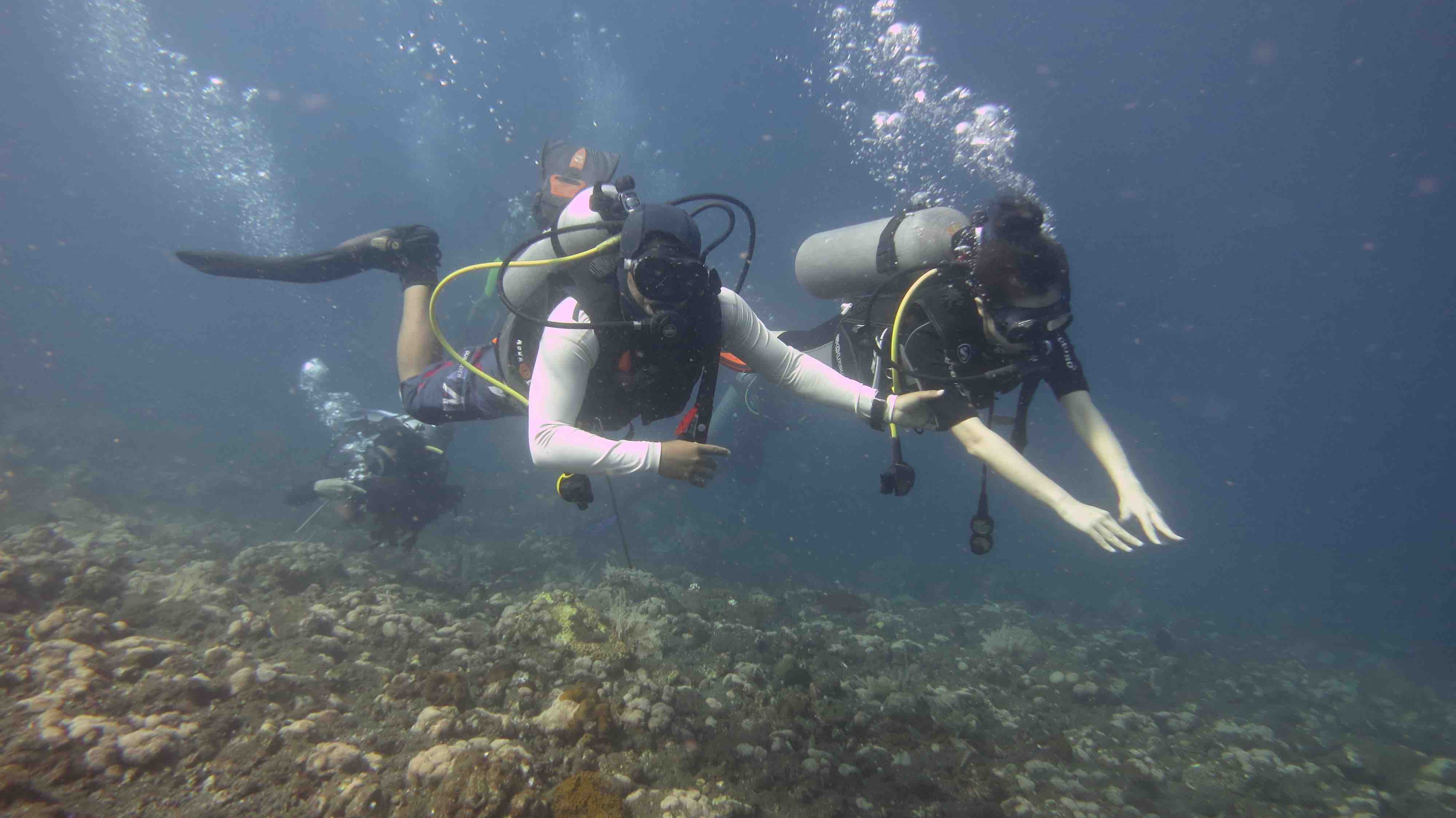 Scuba diving Bali