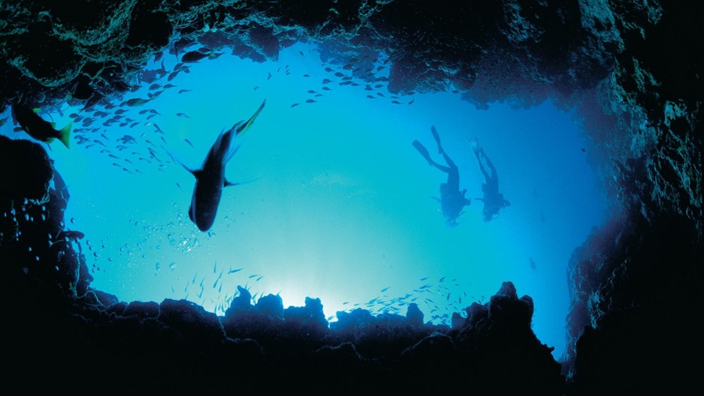 Scuba diving from fun in Australia