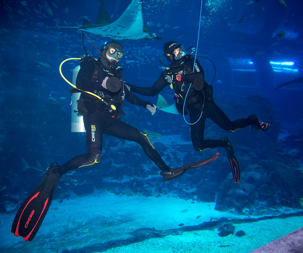 Divers at SEA Aquarium Singapore