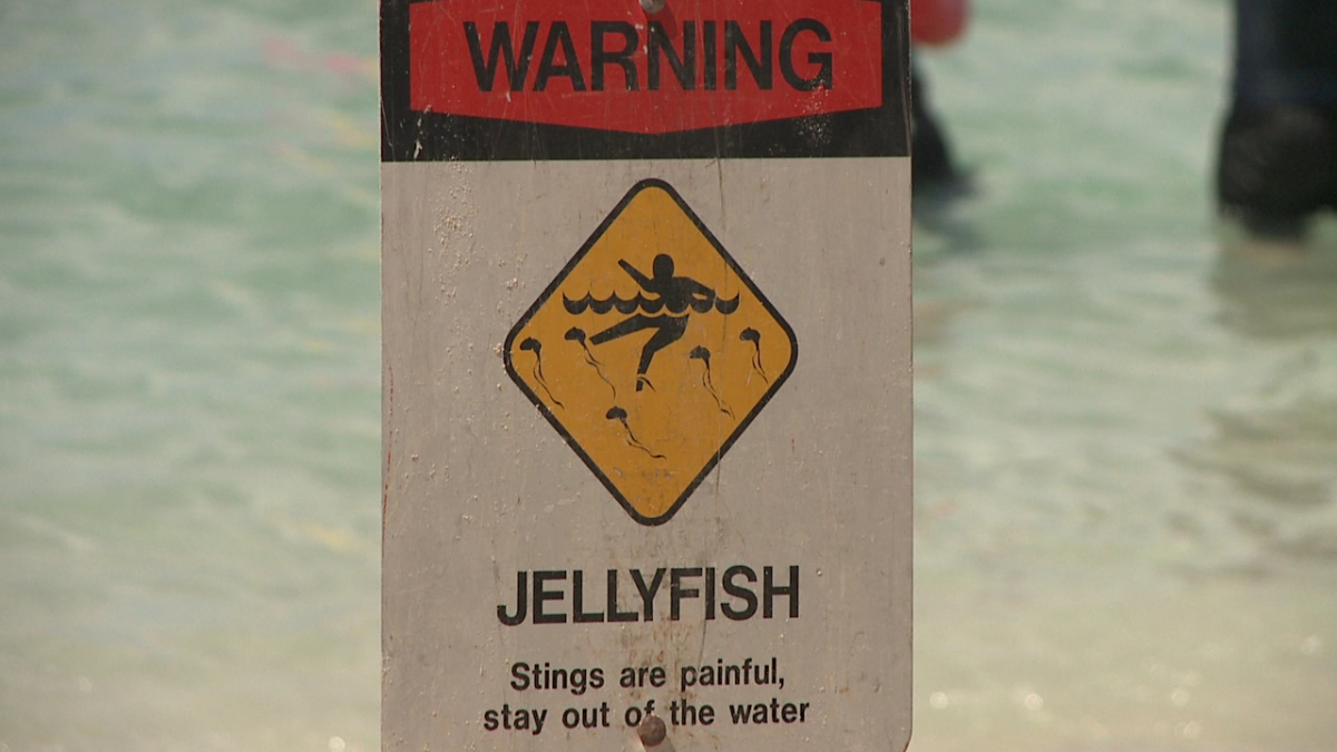 Jellyfish warning sign