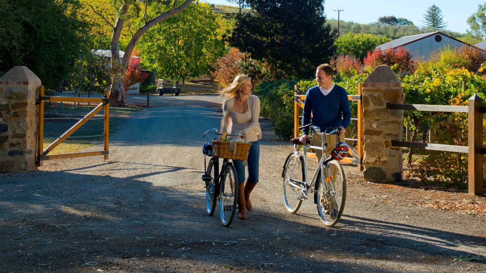 The Barossa valley wine and cycling activity 