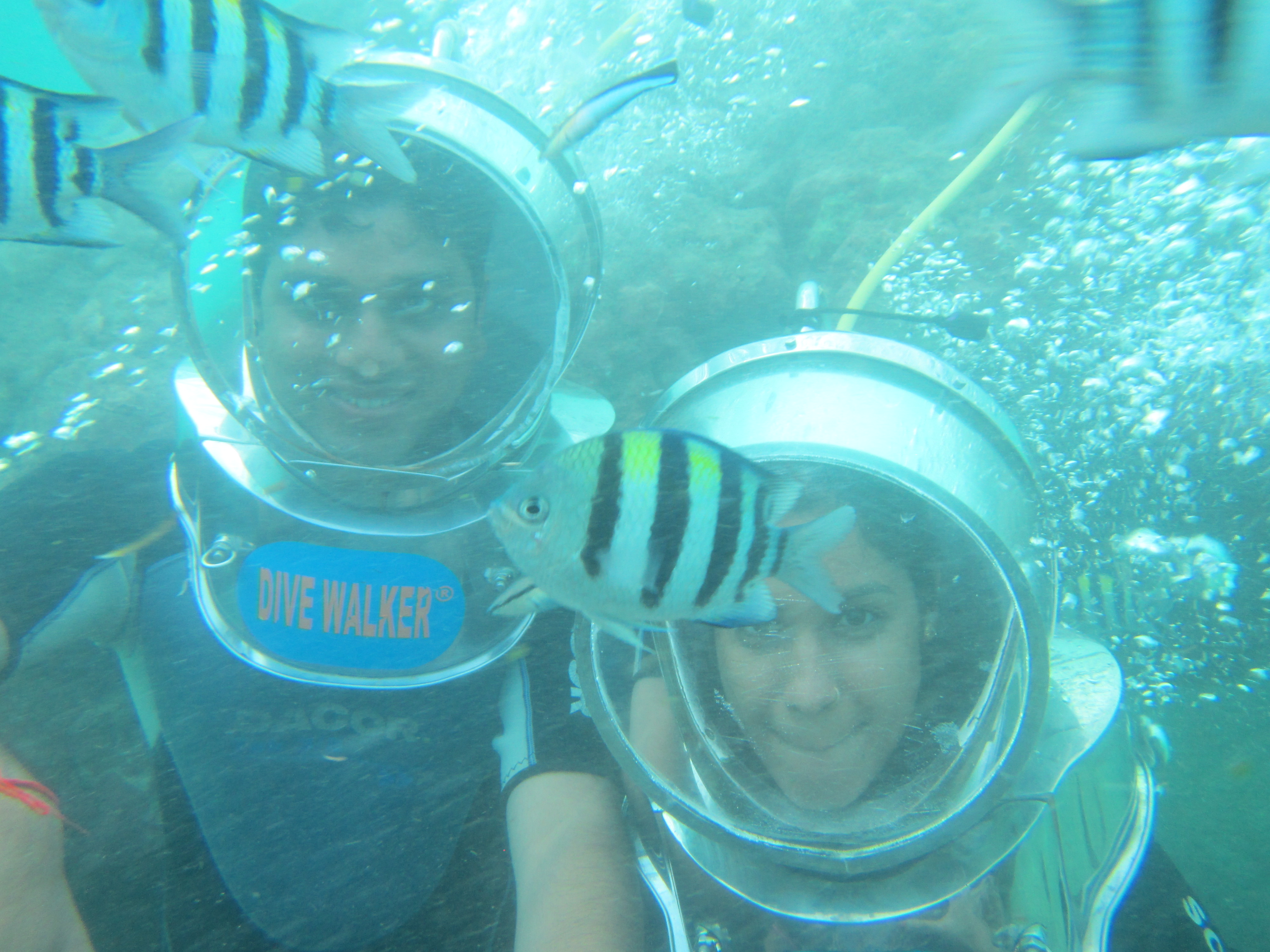 Bali Underwater seawalk