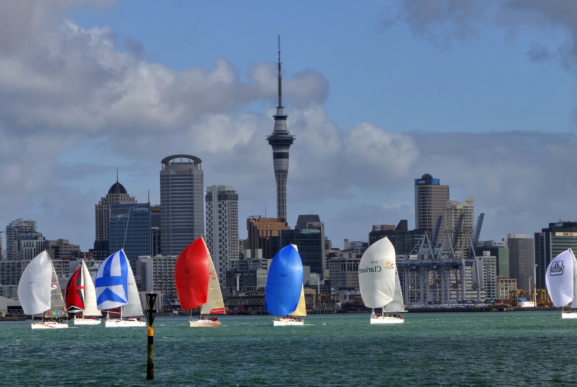 sailing-in-things-to-do-in-Auckland