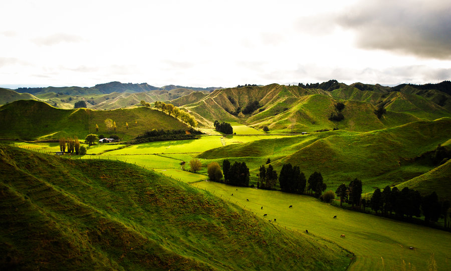 road trip through the forgotten highway in things to do in Auckland