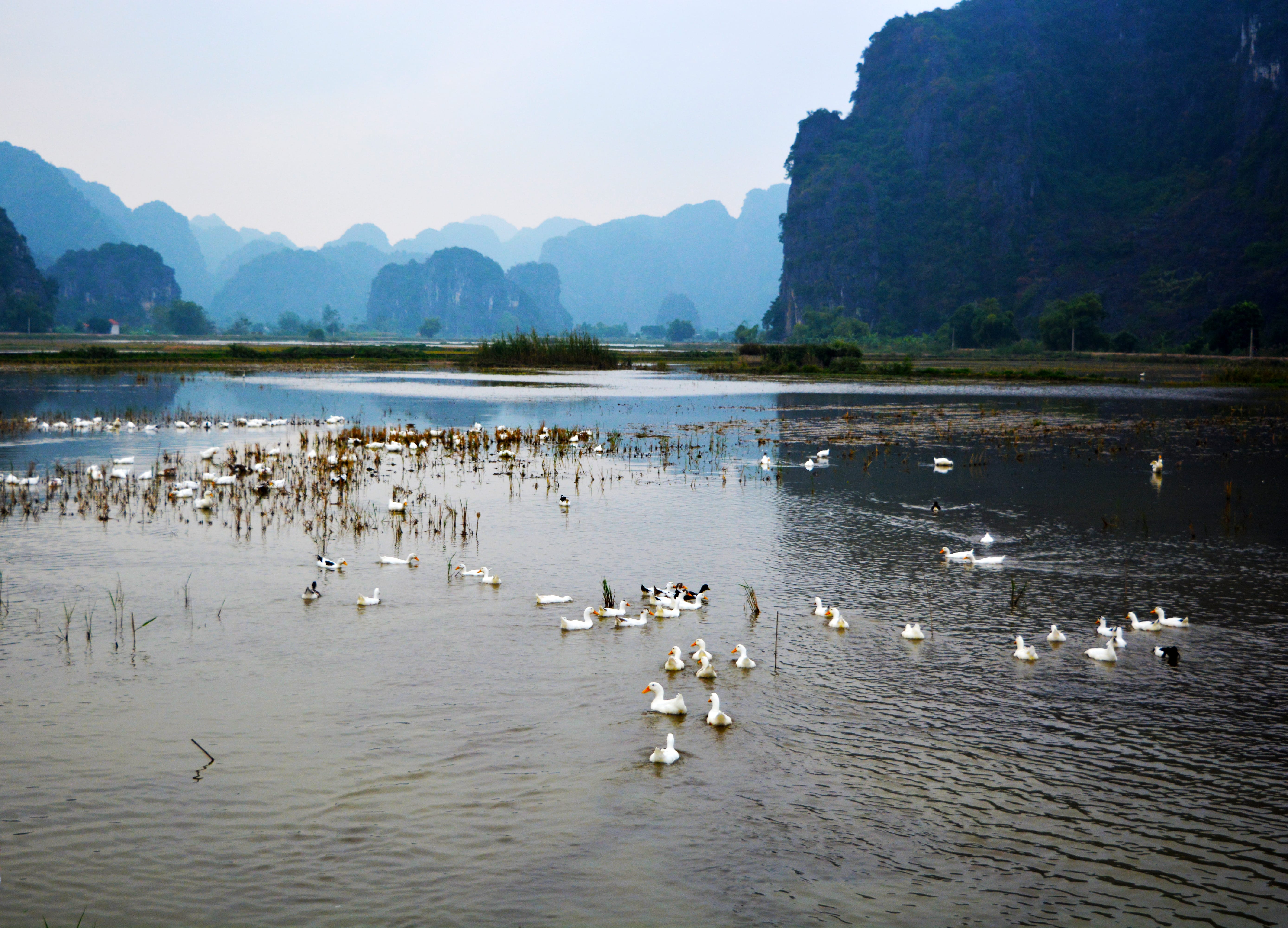 Rural countryside of Tam Coc