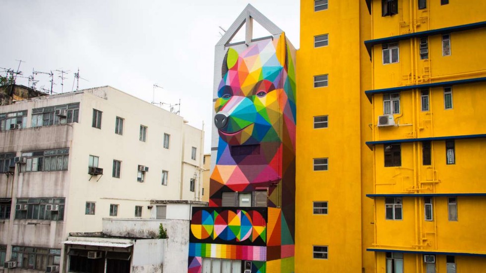 Graffiti rainbow bear 