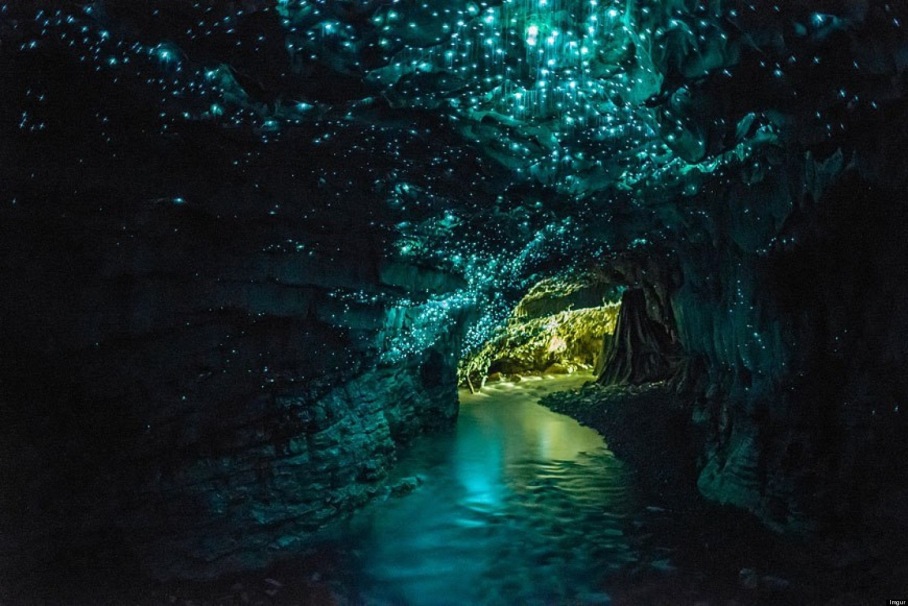 things to do in Queenstown, New Zealand, Glowworm cave, Te Anau