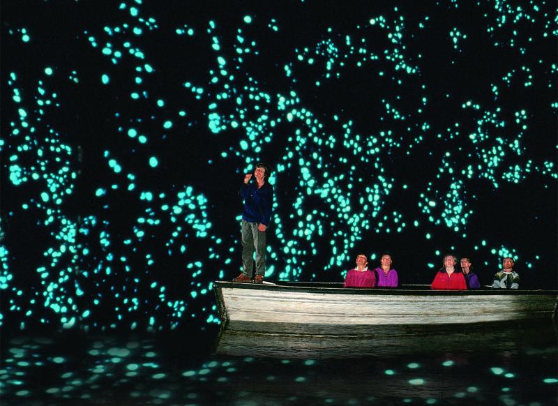 A different cultural experience in the Waitomo caves as a honeymoon destination in New Zealand