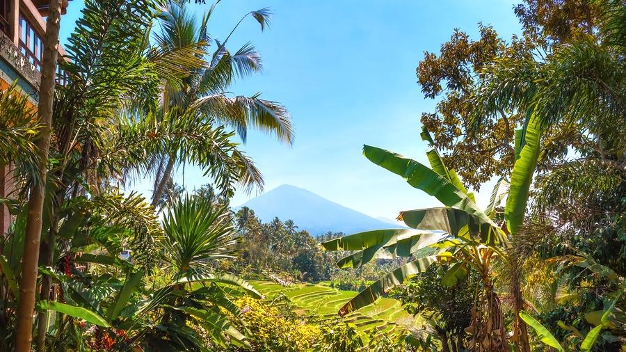 Volcano, Bali, Mount Batukaru, Volcanoes in Bali, Volcano Trekking