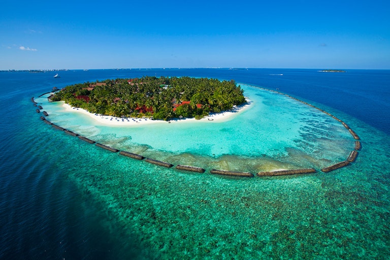 stay in Maldives
