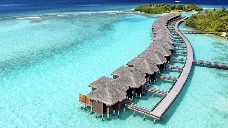 stay in Maldives