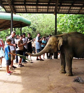 Pinnawala Elephant Sanctuary