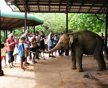 Pinnawala Elephant Sanctuary
