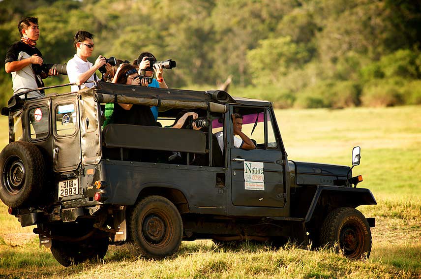 Yala jeep safari