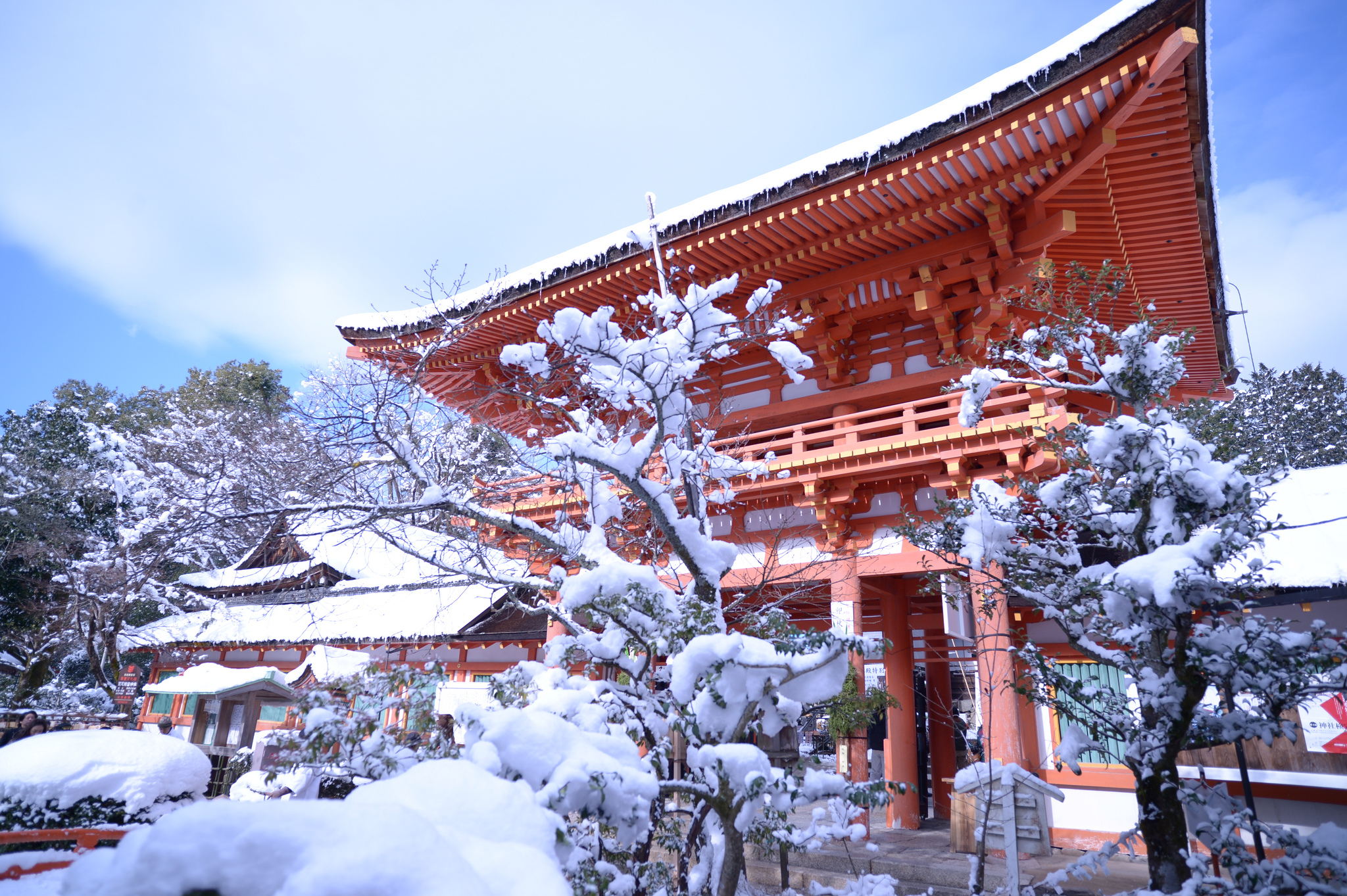 Japan in winter