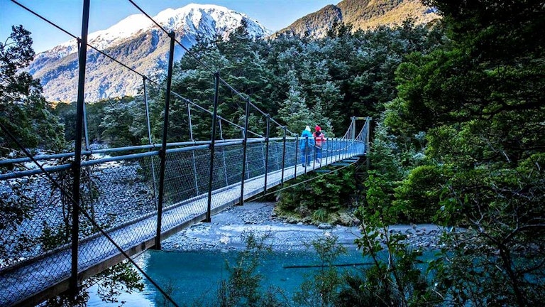 offbeat things to do in New Zealand