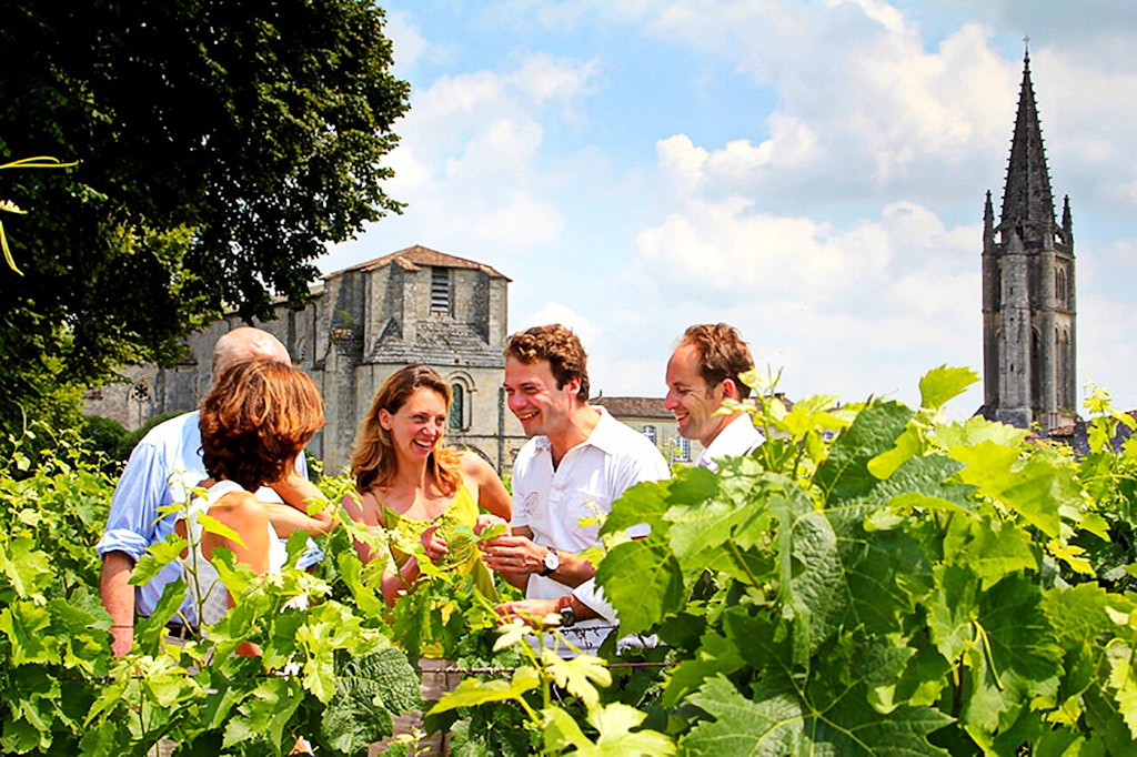 things to do in Bordeaux, Bordovino wine tour
