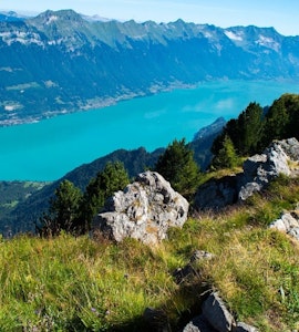 Top things to do in Interlaken for a happy trip!