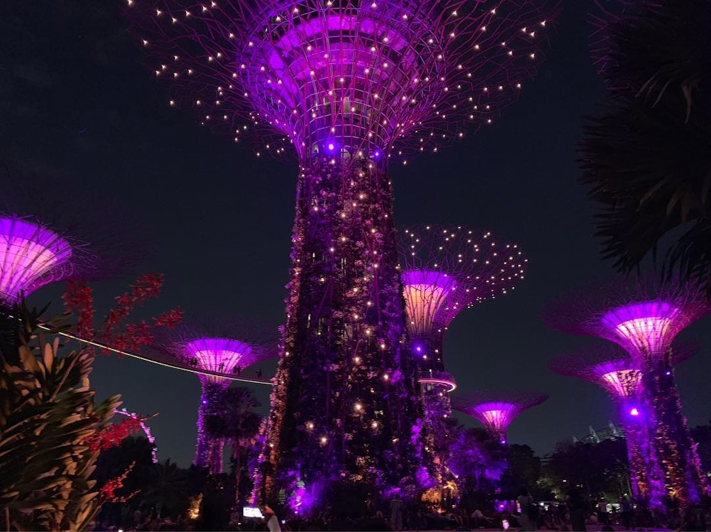 Gardens by the Bay Singapore Beautiful Sight