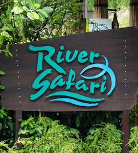 The River Safari