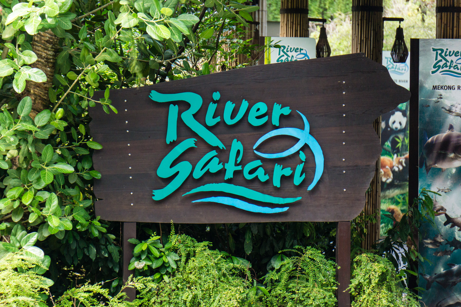 river safari education