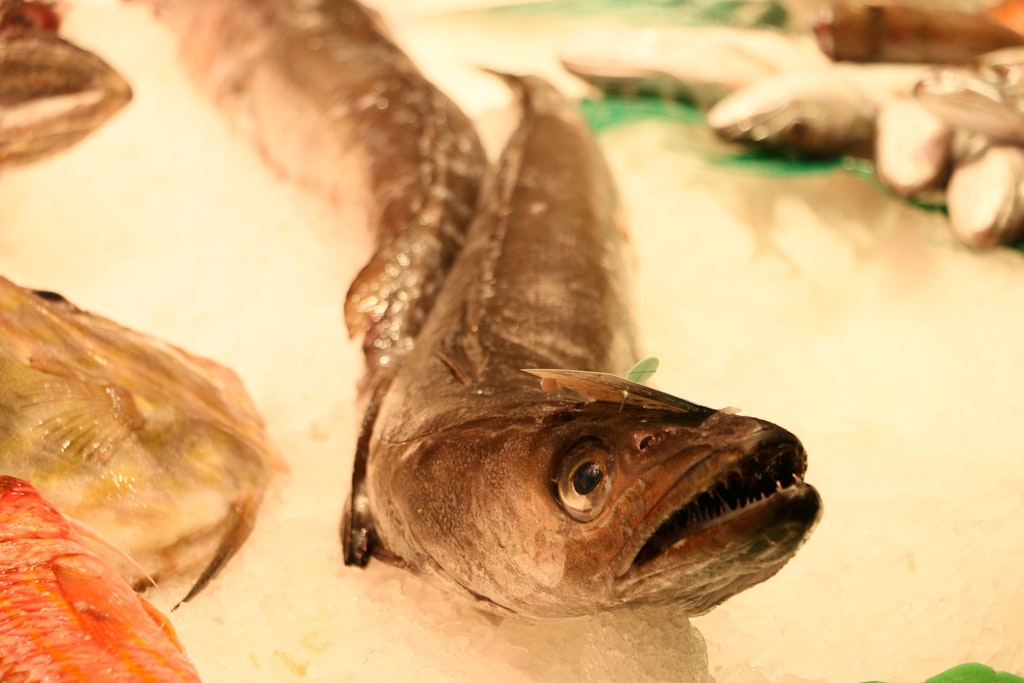 A fish in one of the fish stalls of La Boqueria