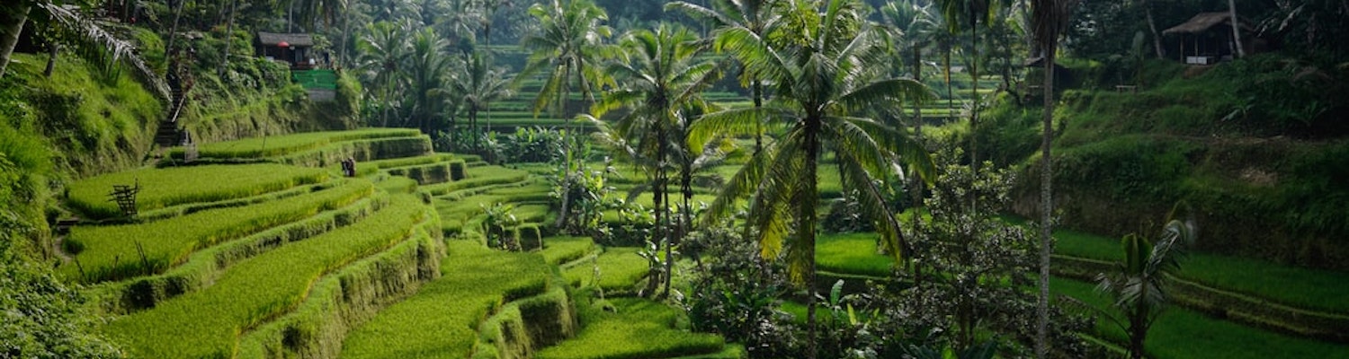 Bali in January and February