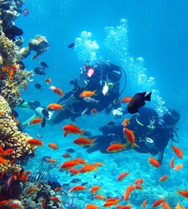 scuba diving in thessaloniki, scuba diving greece, water sports in greece, adventure greece