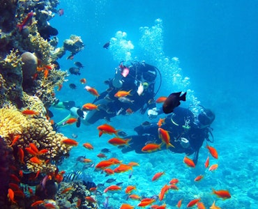 scuba diving in thessaloniki, scuba diving greece, water sports in greece, adventure greece