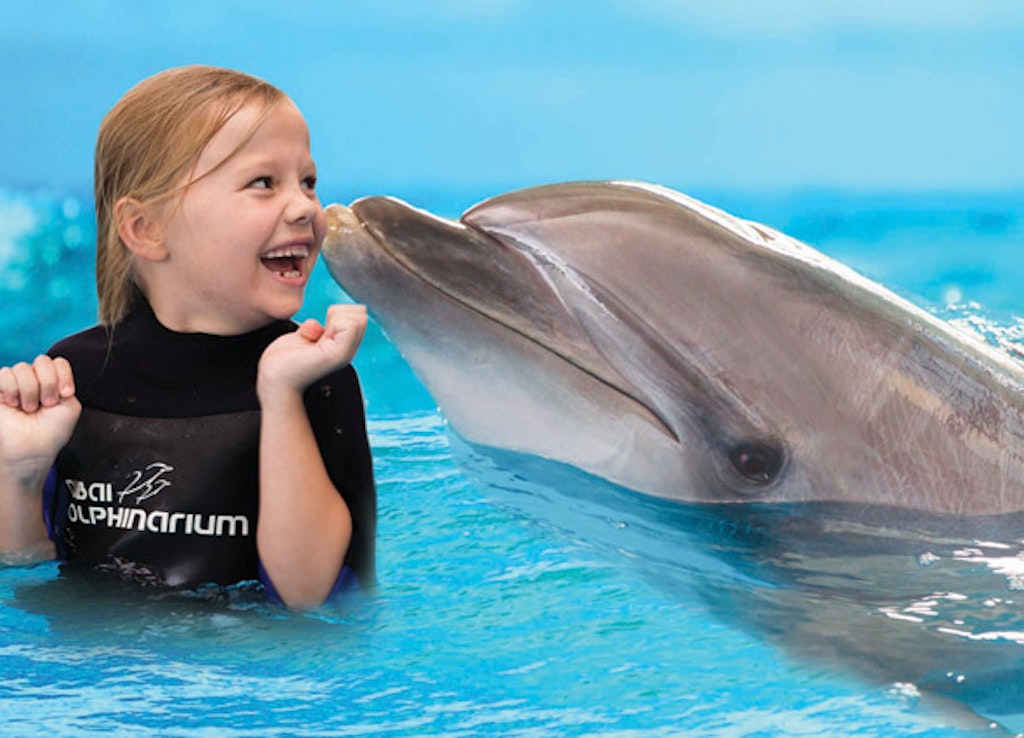 dubai dolphin show
