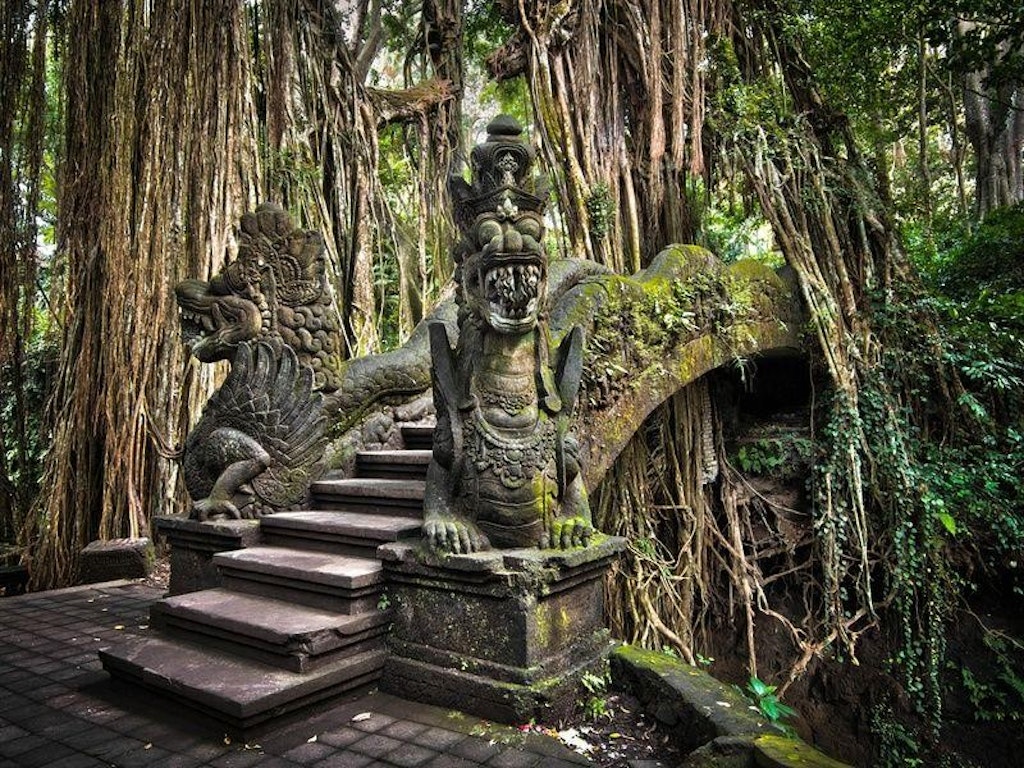 Ubud Monkey Forest, Best Places to Visit in Bali