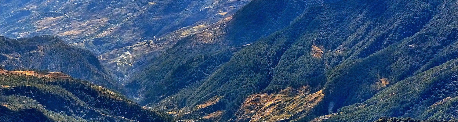 A view from Chopta