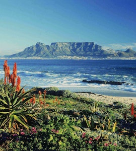 Table Mountain at Cape town, South Africa