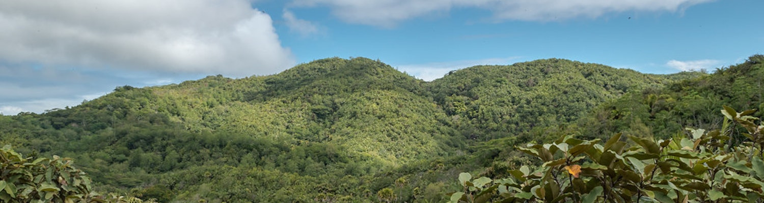 Vallee De Mai National Park in Seychelles