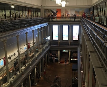 Australia Museum