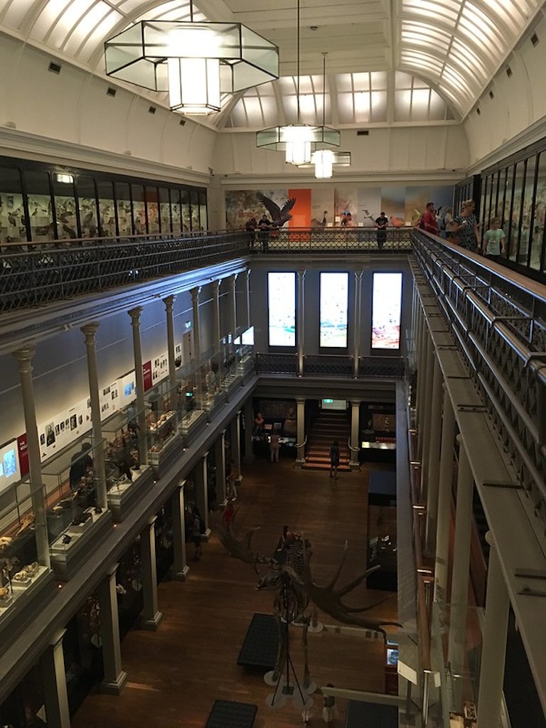 Long Gallery at the Australian Museum