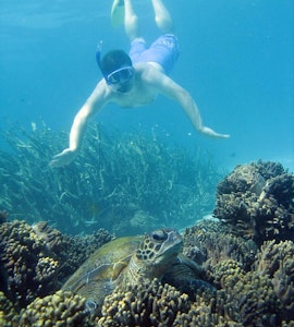 Ningaloo Reef Snorkel