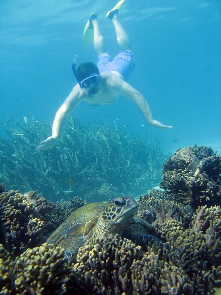 Ningaloo Reef Snorkel