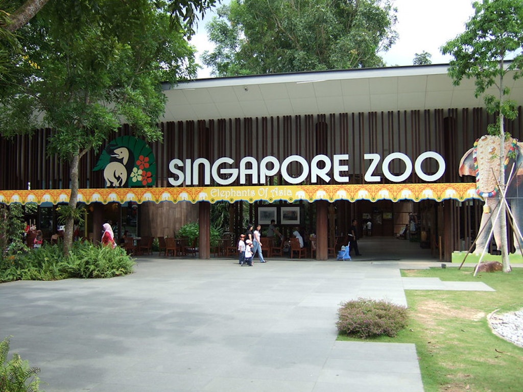 At the entrance of Singapore zoo.