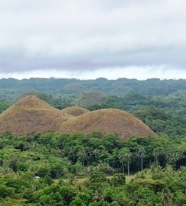 Things to do in Bohol
