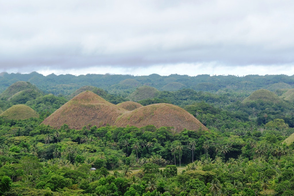 Awesome things to do in Bohol