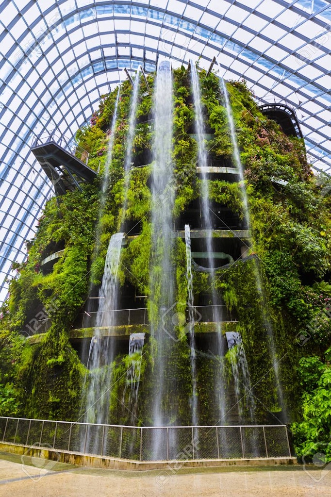 Cloud forest, places to visit on East Coast
