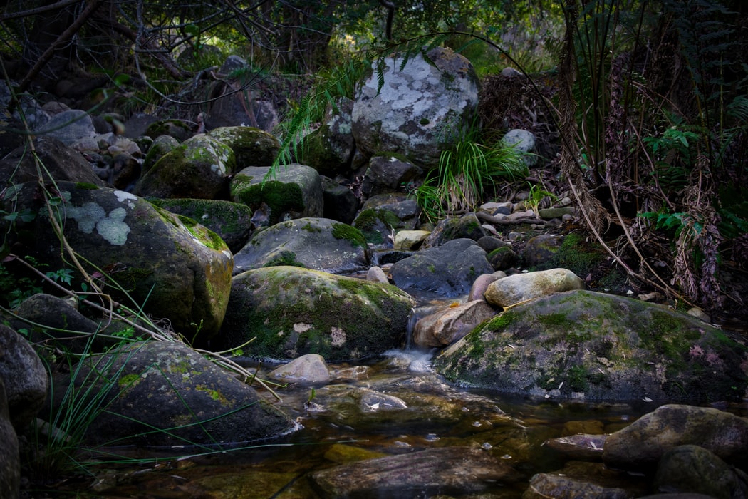 water flowing in between the rocks