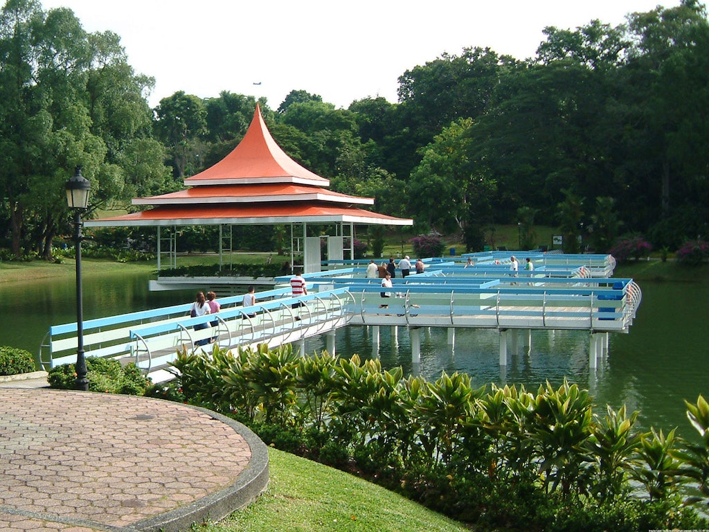 The MacRitchie Reservoir , one of the best places to visit in Singapore for free