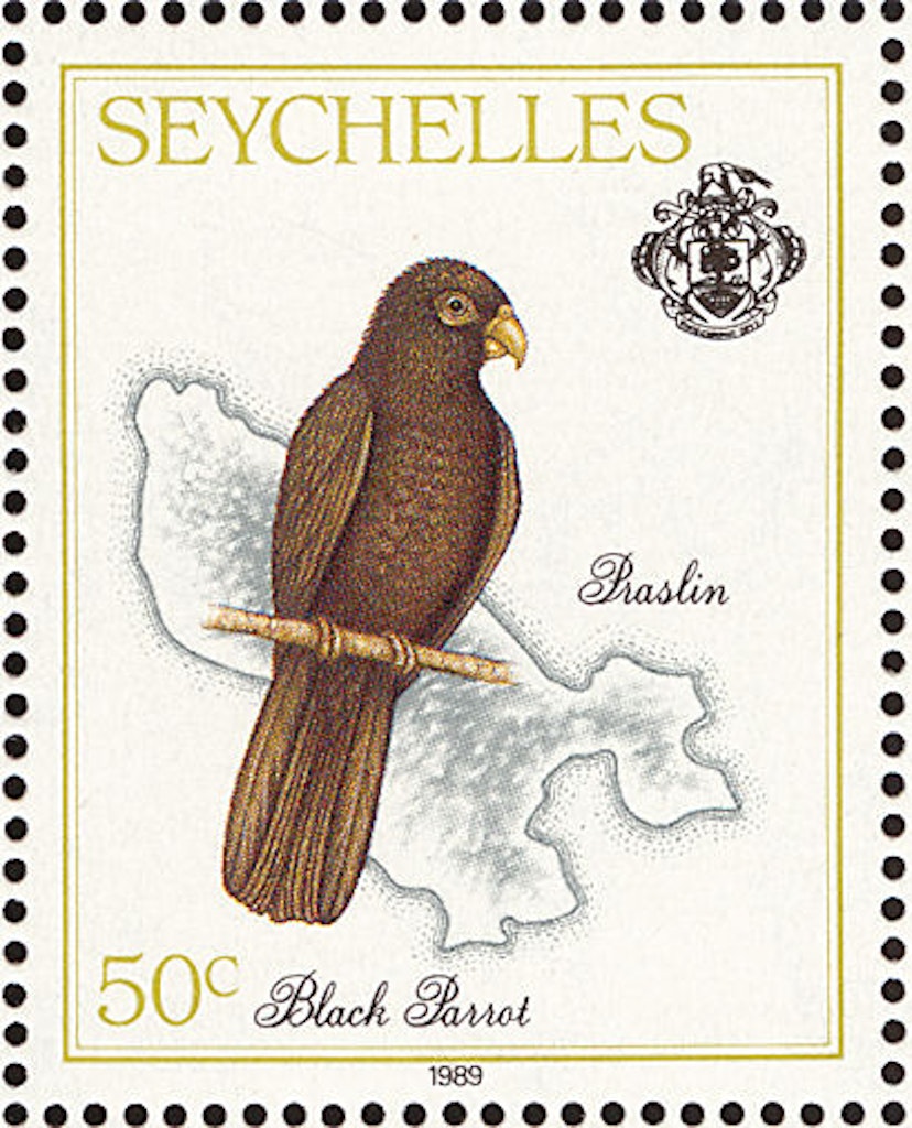 Seychelles Stamp of Black Parrot 