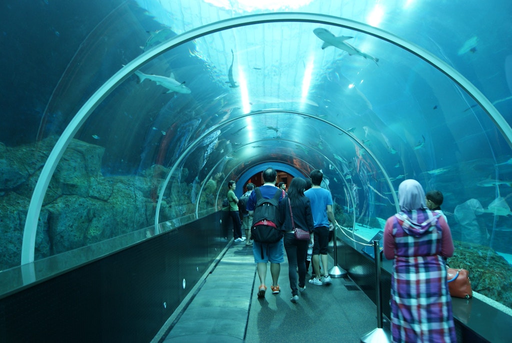 SEA Aquarium Sentosa