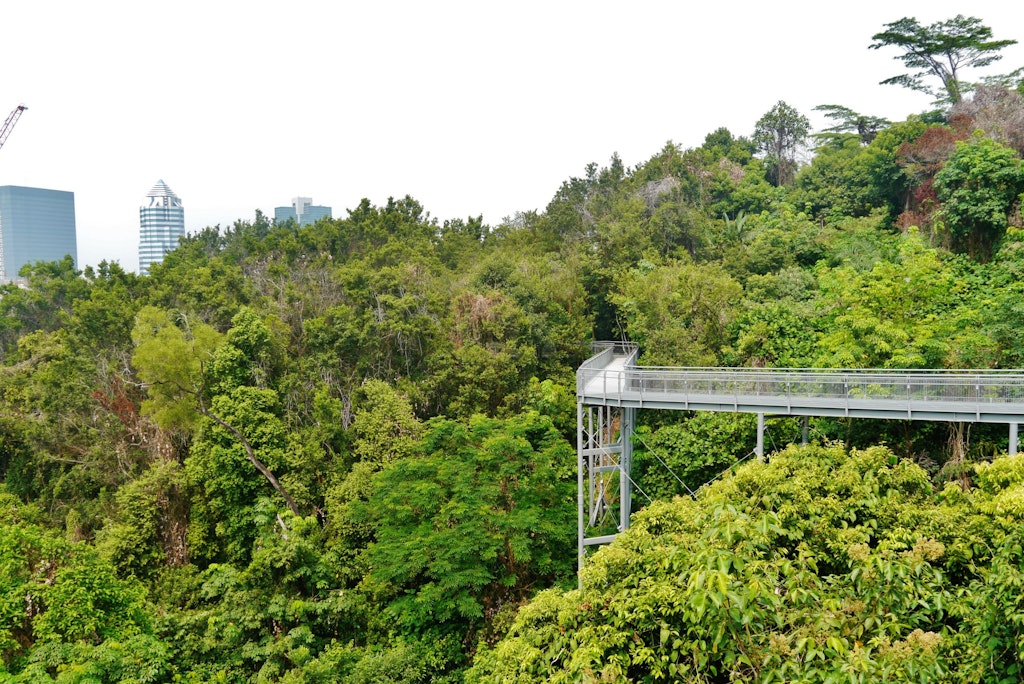 The hilltop walk at the Southern Ridges in Singapore