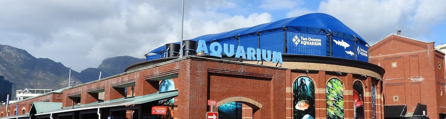 two oceans aquarium capetown