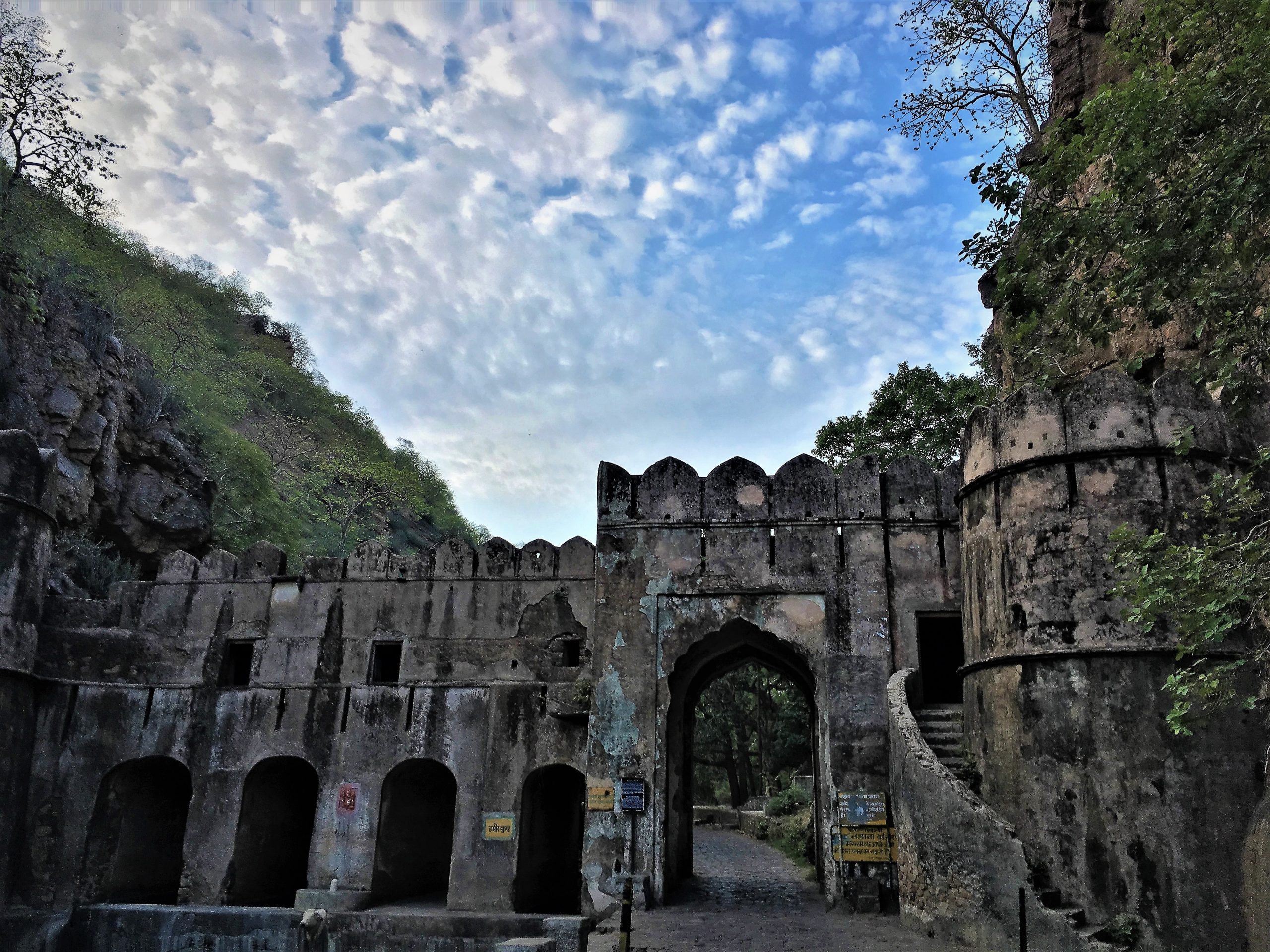 Ranthambore National Park: A Must-visit In Rajasthan